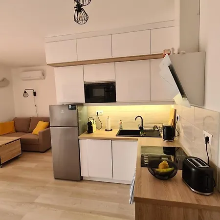 Eda Galerius * شيوفوك