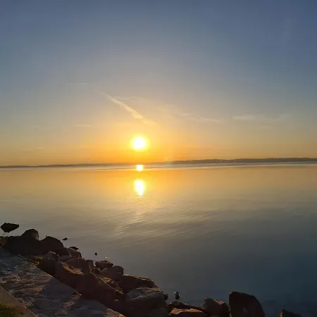 Eda Galerius شيوفوك