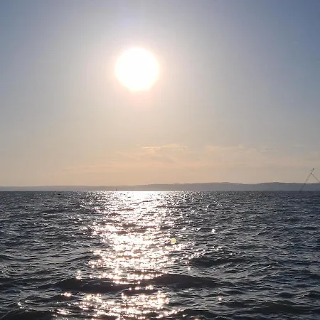 Eda Galerius * شيوفوك