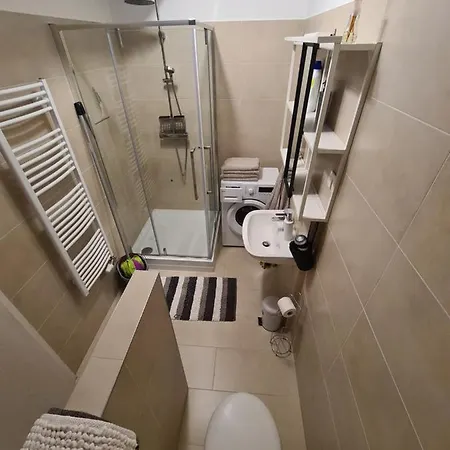 Eda Galerius * شيوفوك