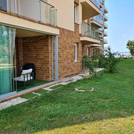 Eda Galerius شيوفوك