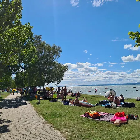 Eda Galerius شيوفوك