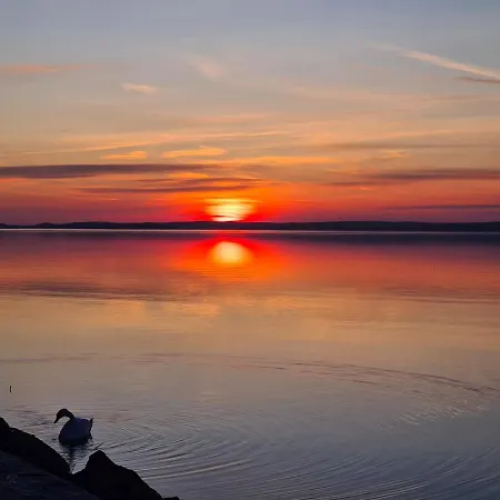 Eda Galerius شقة شيوفوك