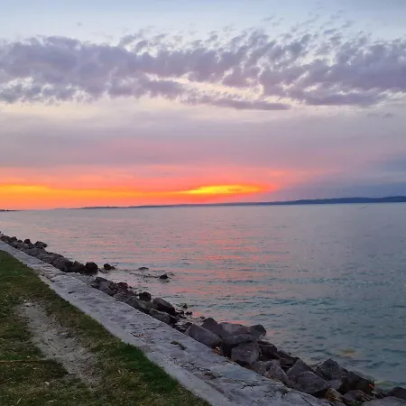 Eda Galerius شيوفوك