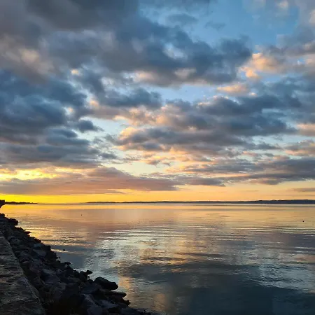 Eda Galerius * شيوفوك