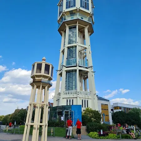 Eda Galerius * شيوفوك