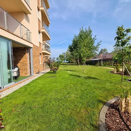 Eda Galerius * شيوفوك