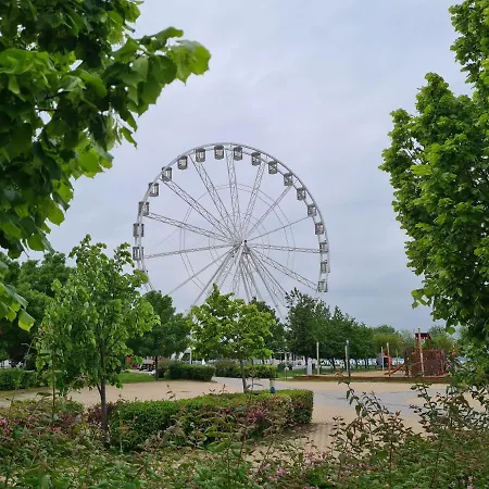 Eda Galerius * شيوفوك