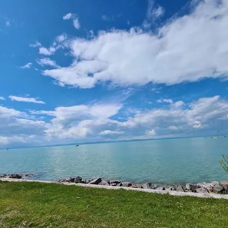 Eda Galerius شيوفوك