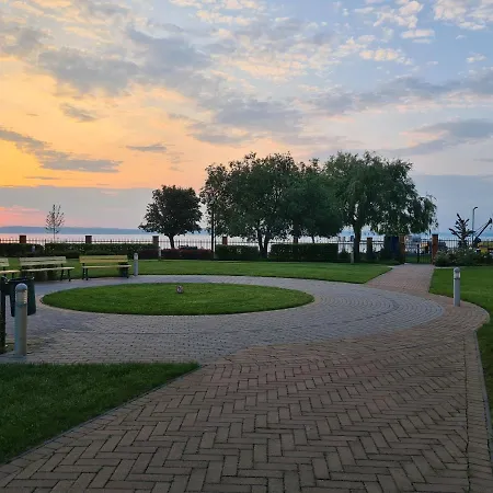 Eda Galerius * شيوفوك