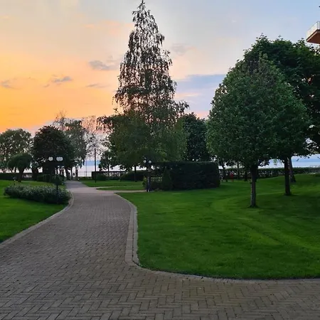 Eda Galerius شيوفوك